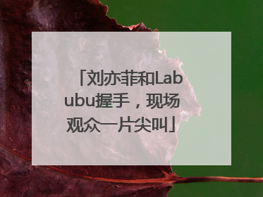 刘亦菲和Labubu握手，现场观众一片尖叫