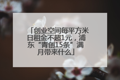 创业空间每平方米日租金不超1元，浦东“青创15条”满月带来什么