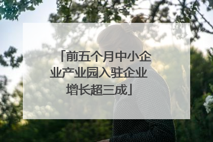 前五个月中小企业产业园入驻企业增长超三成