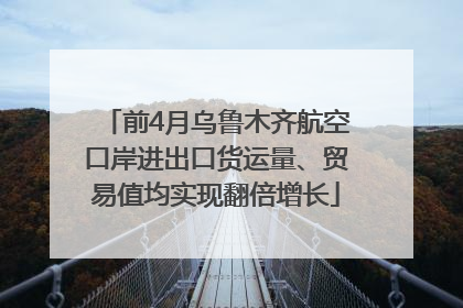 前4月乌鲁木齐航空口岸进出口货运量、贸易值均实现翻倍增长