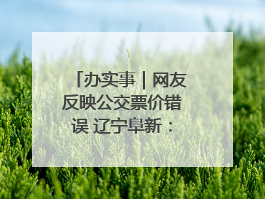 办实事｜网友反映公交票价错误 辽宁阜新：及时核查更正 加强实时巡检