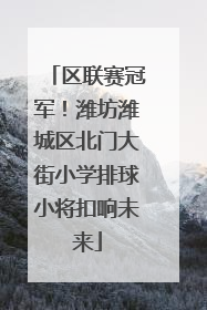区联赛冠军！潍坊潍城区北门大街小学排球小将扣响未来