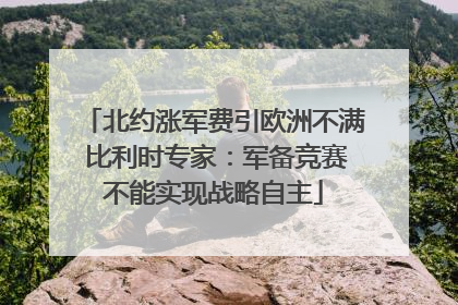 北约涨军费引欧洲不满 比利时专家：军备竞赛不能实现战略自主