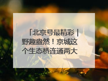 北京号最精彩｜野趣盎然！京城这个生态桥连通两大网红公园