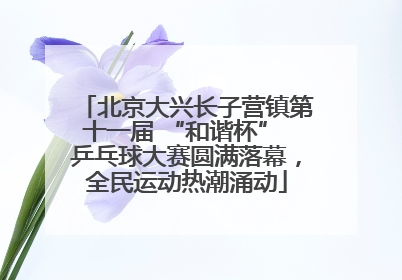 北京大兴长子营镇第十一届 “和谐杯” 乒乓球大赛圆满落幕，全民运动热潮涌动