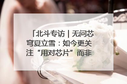 北斗专访｜无问芯穹夏立雪：如今更关注“用对芯片”而非“用贵芯片”