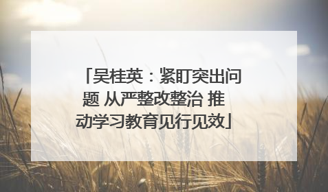 吴桂英：紧盯突出问题 从严整改整治 推动学习教育见行见效