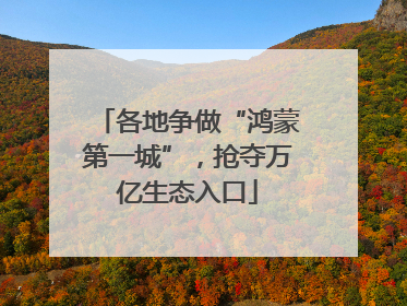 各地争做“鸿蒙第一城”，抢夺万亿生态入口
