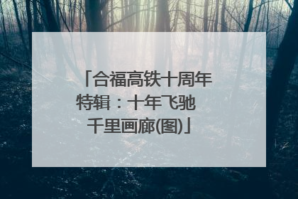 合福高铁十周年特辑：十年飞驰 千里画廊(图)