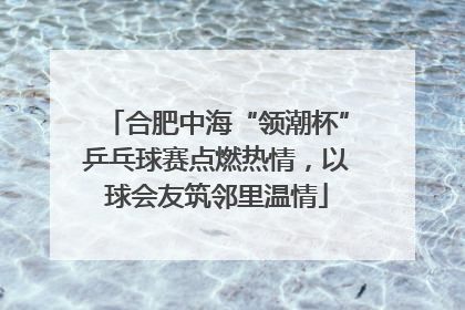 合肥中海“领潮杯”乒乓球赛点燃热情，以球会友筑邻里温情