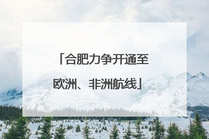 合肥力争开通至欧洲、非洲航线