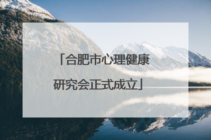 合肥市心理健康研究会正式成立