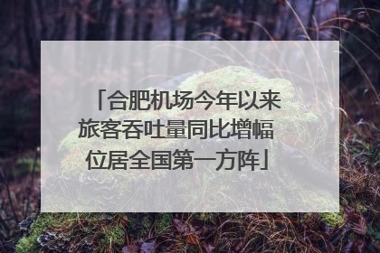 合肥机场今年以来旅客吞吐量同比增幅位居全国第一方阵