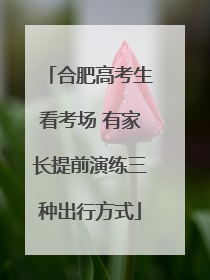 合肥高考生看考场 有家长提前演练三种出行方式