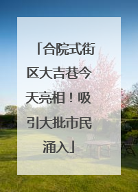 合院式街区大吉巷今天亮相！吸引大批市民涌入