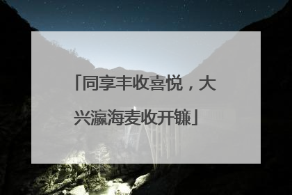 同享丰收喜悦，大兴瀛海麦收开镰