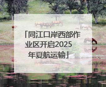 同江口岸西部作业区开启2025年夏航运输