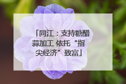 同江：支持糖醋蒜加工 依托“指尖经济”致富