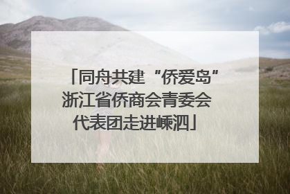 同舟共建“侨爱岛” 浙江省侨商会青委会代表团走进嵊泗