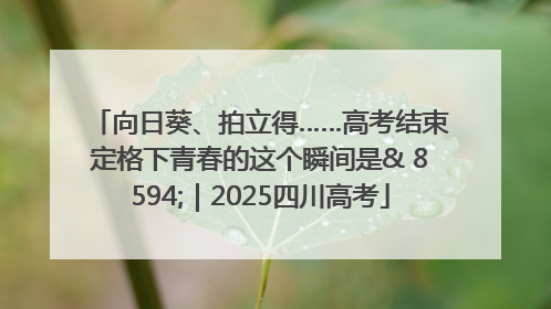 向日葵、拍立得……高考结束定格下青春的这个瞬间是& 8594;｜2025四川高考