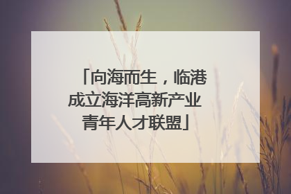 向海而生，临港成立海洋高新产业青年人才联盟