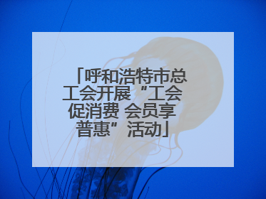 呼和浩特市总工会开展“工会促消费 会员享普惠”活动
