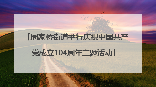 周家桥街道举行庆祝中国共产党成立104周年主题活动