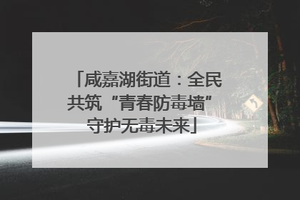 咸嘉湖街道：全民共筑“青春防毒墙” 守护无毒未来