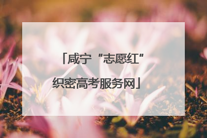 咸宁“志愿红”织密高考服务网
