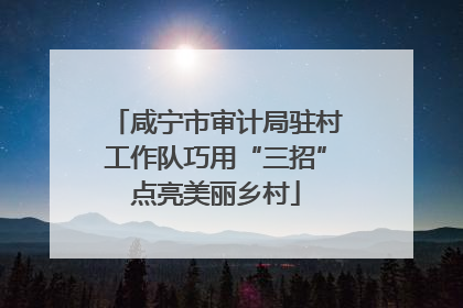 咸宁市审计局驻村工作队巧用“三招”点亮美丽乡村