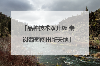 品种技术双升级 秦岗葡萄闯出新天地