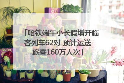 哈铁端午小长假增开临客列车62对 预计运送旅客160万人次