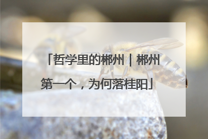 哲学里的郴州｜郴州第一个，为何落桂阳