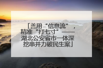善用“信息流”，精准“打七寸”——湖北公安省市一体深挖串并力破民生案