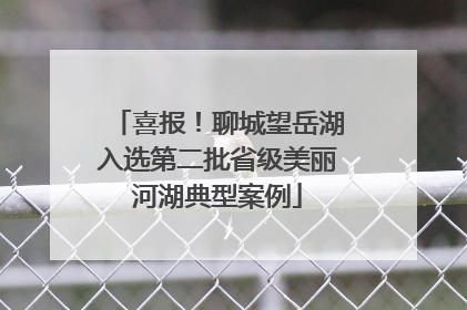 喜报！聊城望岳湖入选第二批省级美丽河湖典型案例