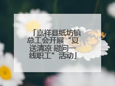 嘉祥县纸坊镇总工会开展“夏送清凉 慰问一线职工”活动