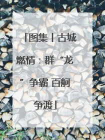 图集丨古城燃情：群“龙”争霸 百舸争渡