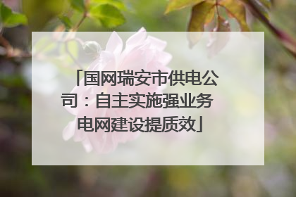 国网瑞安市供电公司：自主实施强业务 电网建设提质效