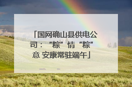国网确山县供电公司：“粽”情“粽”意 安康常驻端午