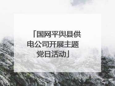 国网平舆县供电公司开展主题党日活动