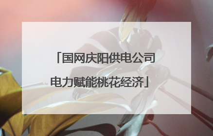 国网庆阳供电公司电力赋能桃花经济