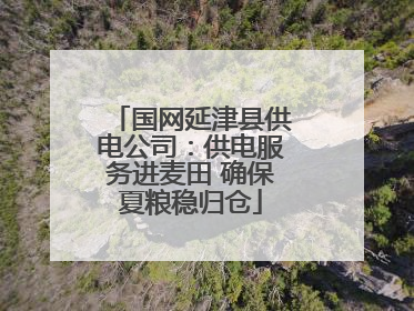 国网延津县供电公司：供电服务进麦田 确保夏粮稳归仓