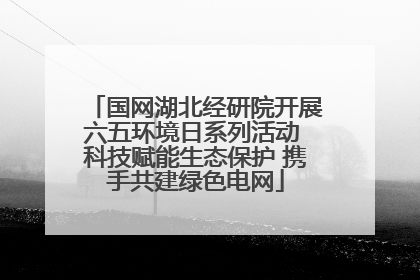 国网湖北经研院开展六五环境日系列活动 科技赋能生态保护 携手共建绿色电网