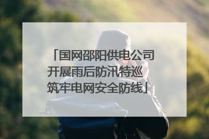 国网邵阳供电公司开展雨后防汛特巡 筑牢电网安全防线