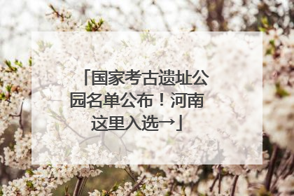 国家考古遗址公园名单公布！河南这里入选→