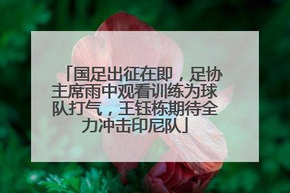 国足出征在即，足协主席雨中观看训练为球队打气，王钰栋期待全力冲击印尼队