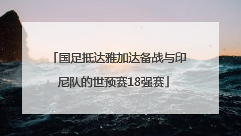 国足抵达雅加达备战与印尼队的世预赛18强赛