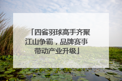 四省羽球高手齐聚江山争霸，品牌赛事带动产业升级