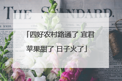 四好农村路通了 宜君苹果甜了 日子火了