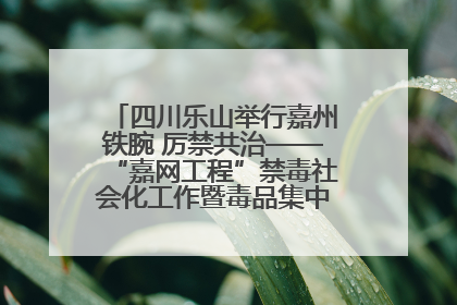 四川乐山举行嘉州铁腕 厉禁共治——“嘉网工程”禁毒社会化工作暨毒品集中销毁启动仪式